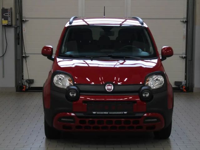 Fiat Panda RED