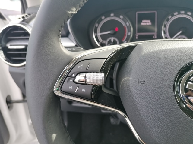 Skoda Fabia Selection