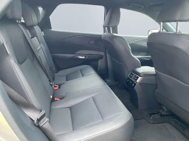 Lexus RX-Serie Business Line