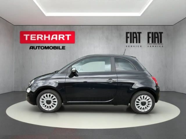 Fiat 500 Basis 1.0 Mild Hybrid/PDC/Tempomat