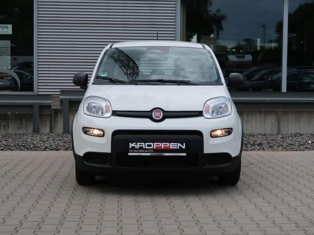 Fiat Panda Pandina 1,0 GSE Klimaanlage PDC M+S