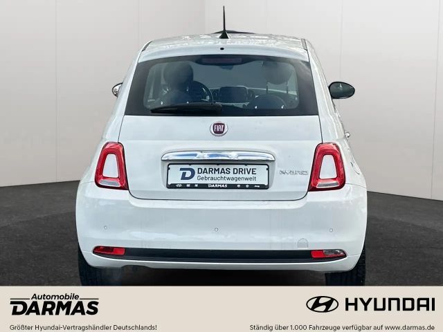 Fiat 500 Fiat 500 1.0 mild Hybrid CLUB Navi DAB LM PDC