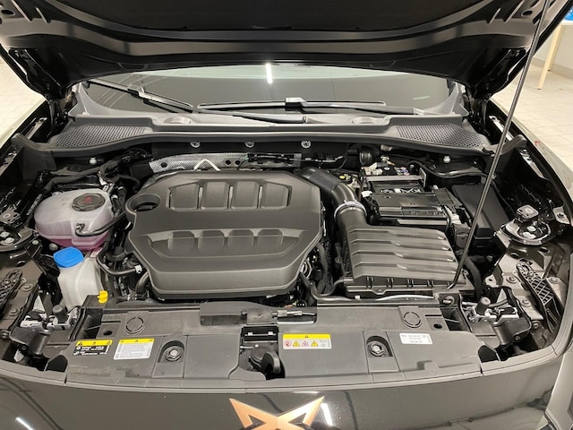 Cupra Formentor 2.0 TSI 4Drive