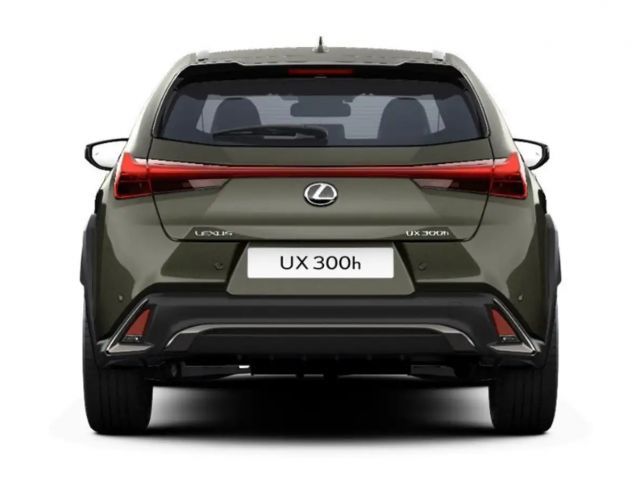 Lexus UX F Sport Sport