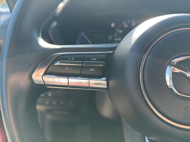 Mazda MX-30 Elektro Automatik Ad`Vantage