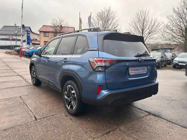 Subaru Forester Exclusive