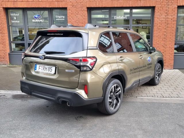 Subaru Forester Exclusive