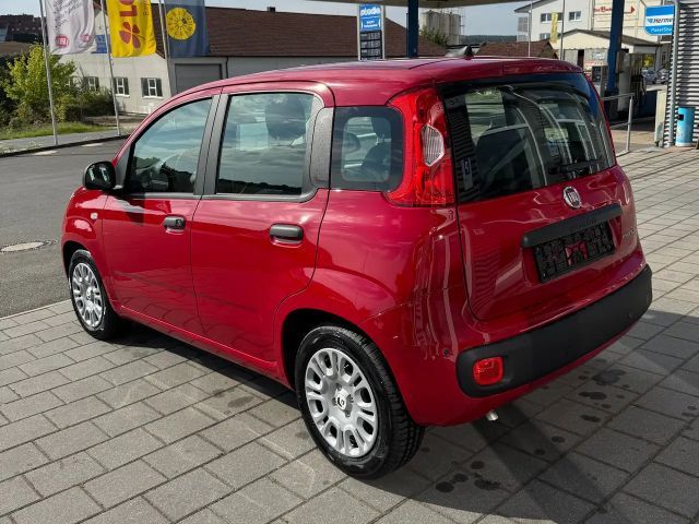Fiat Panda Pandina