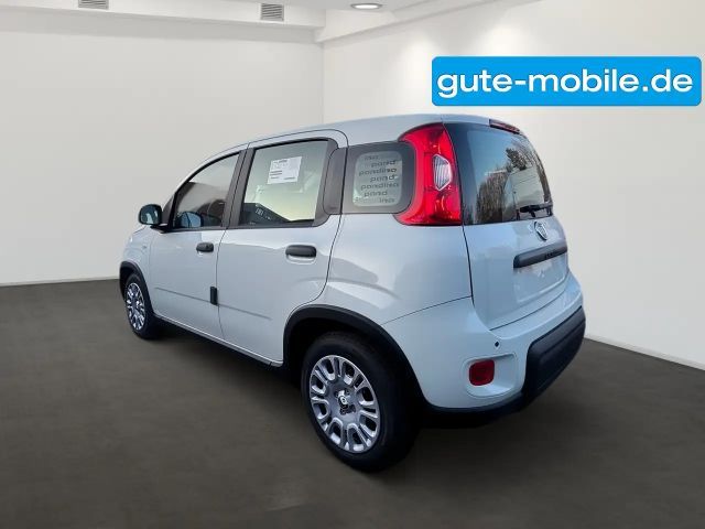 Fiat Panda Pandina Hybrid MY25 70PS