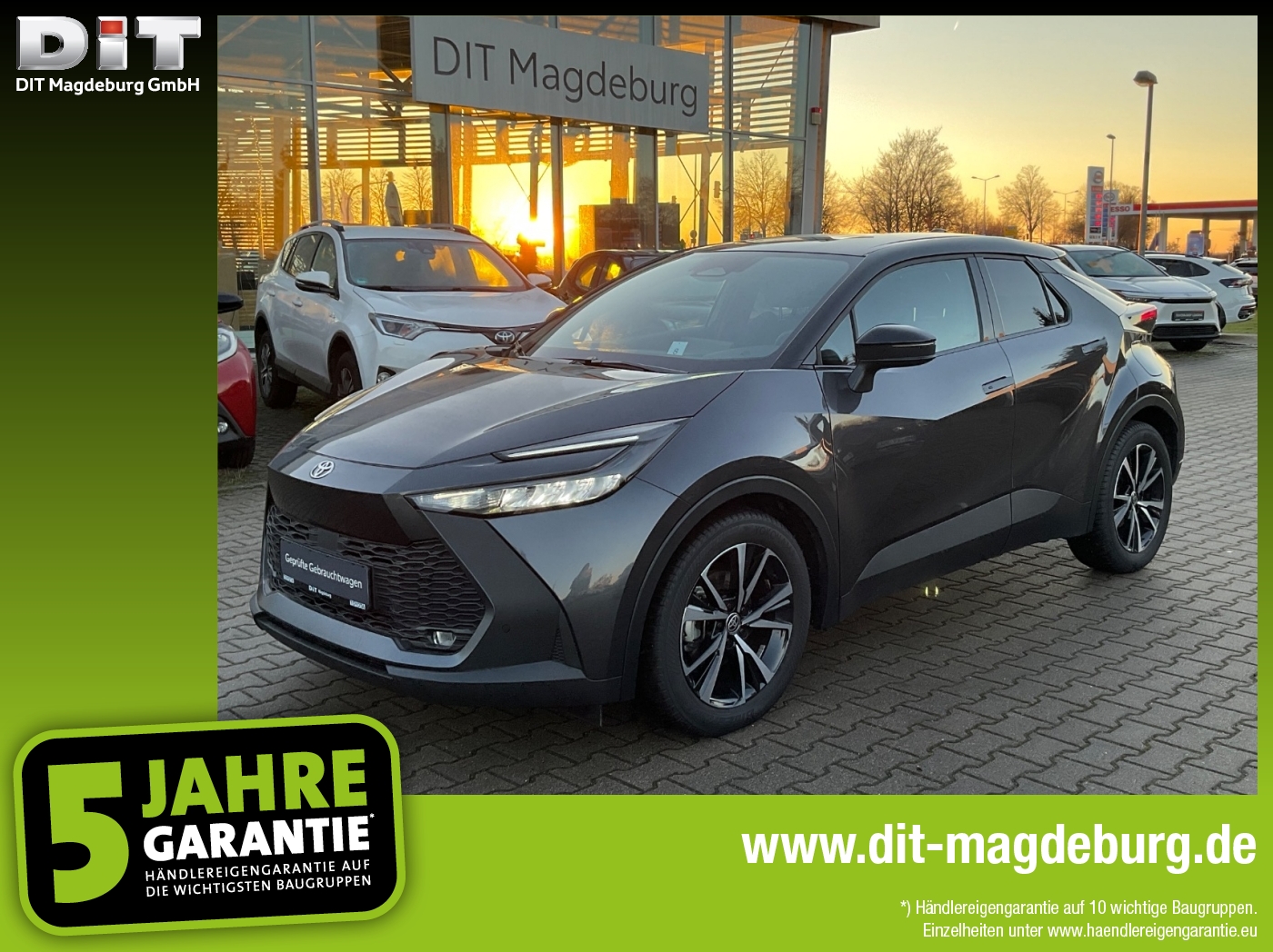 Toyota C-HR 5-deurs Team D