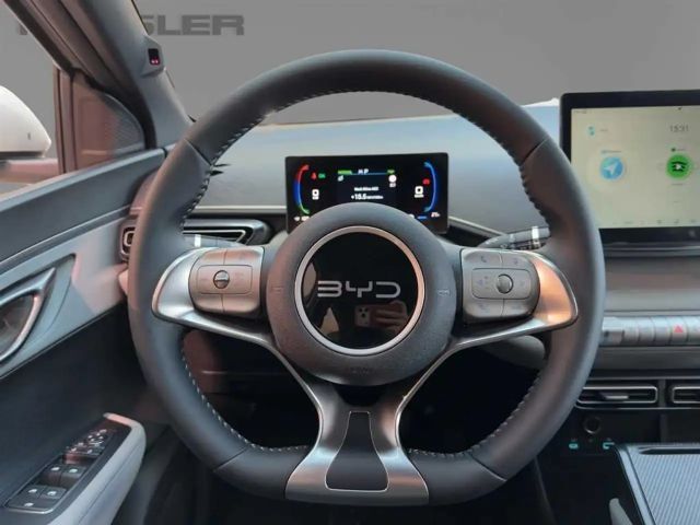 BYD Dolphin Surf CarPlay Klima Navi Leder