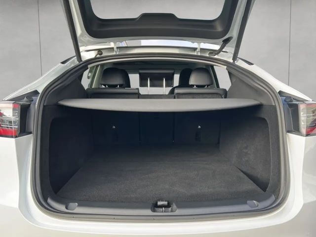 Tesla Model Y AWD Dual Motor Performance