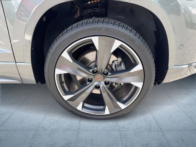 Cupra Ateca 1.5 TSI Business DSG