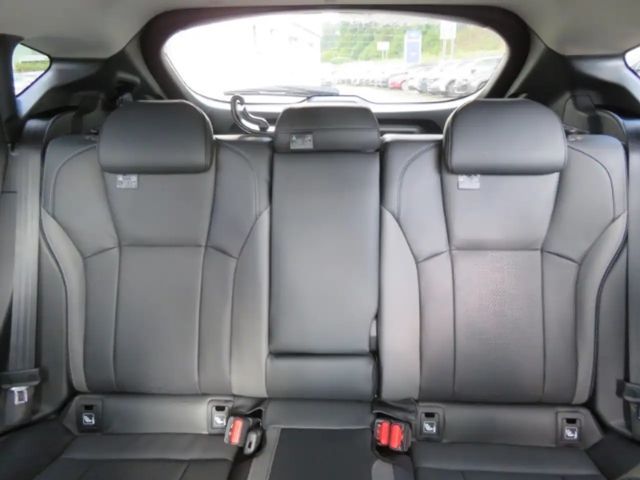 Subaru Crosstrek 2.0ie Platinum Navi Leder 360 Kamera LED Dyn. Kurv