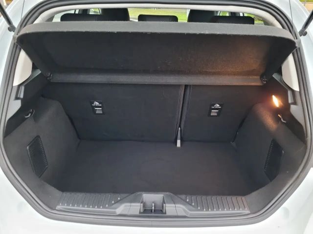 Ford Fiesta C&C *Winter-P.*