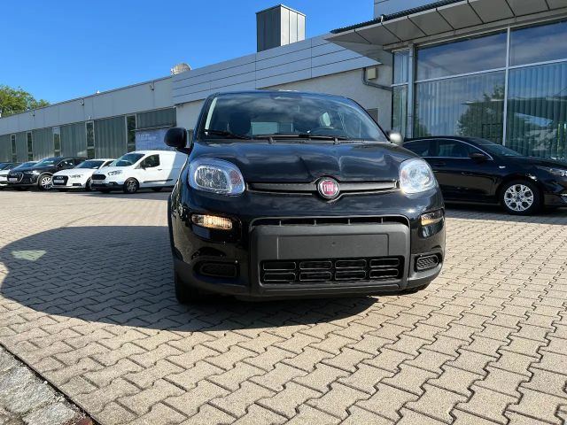 Fiat Panda Neues Modell 1.0 *5 Sitzer Klima PDC DAB*