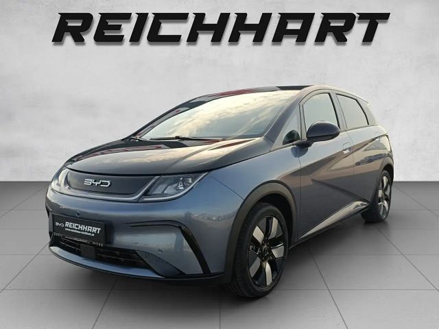 BYD Dolphin Design