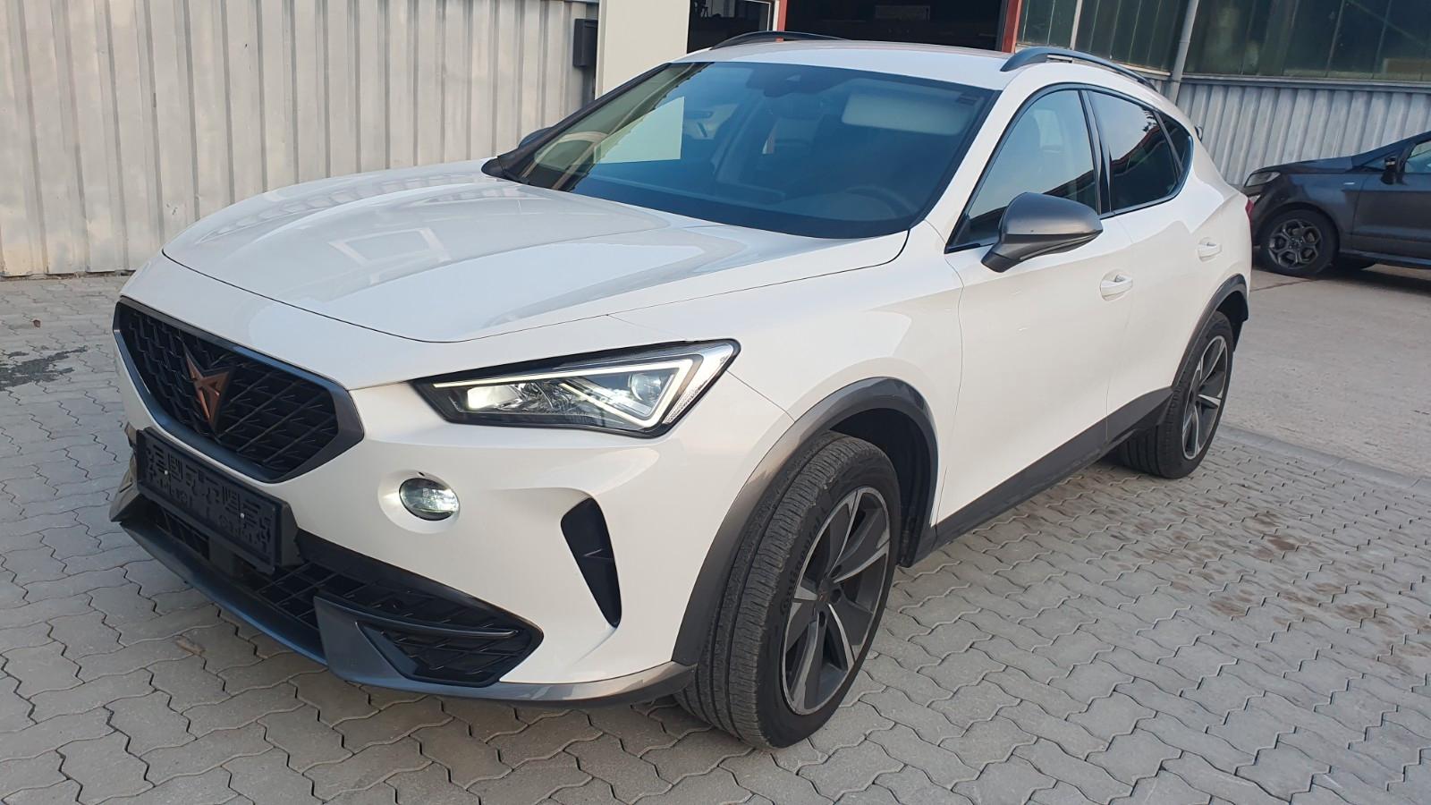 Cupra Formentor Basis,Navi, Kamera, Totwinkel, Ambient