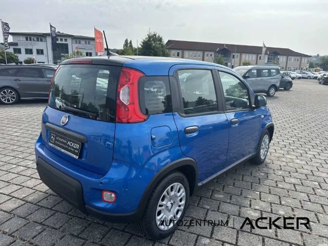 Fiat Panda CityCross