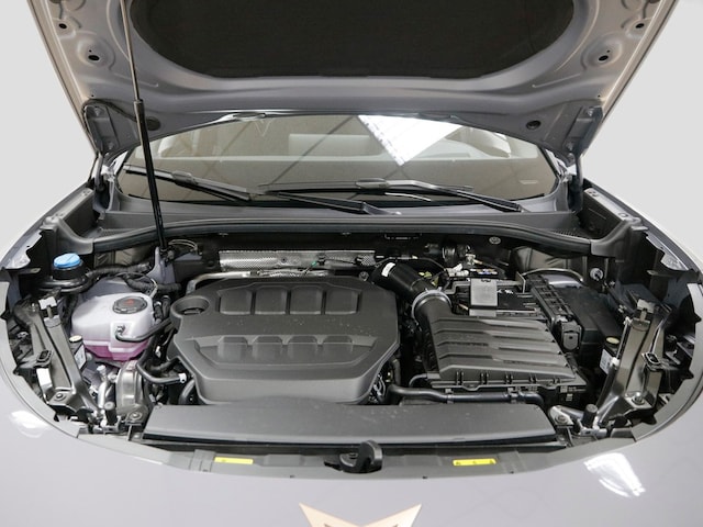 Cupra Terramar 2.0 TSI VZ