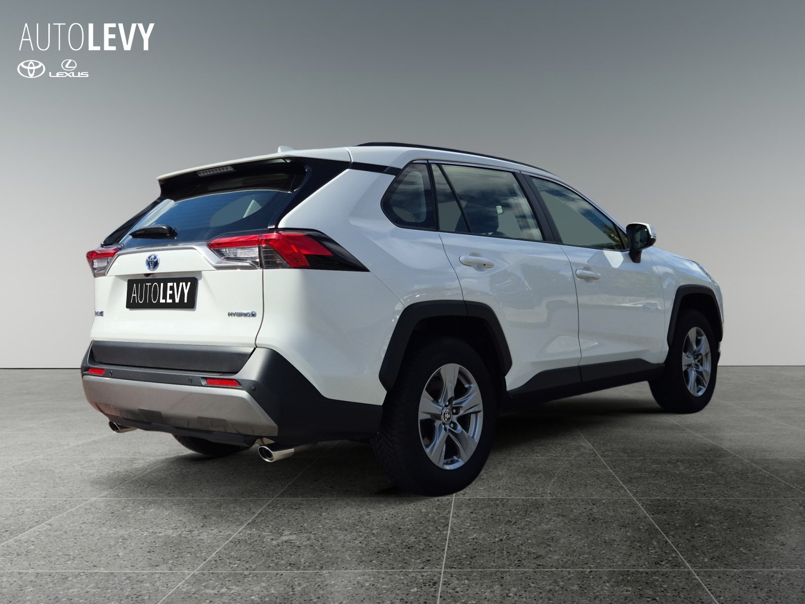 Toyota RAV4 5-deurs Business