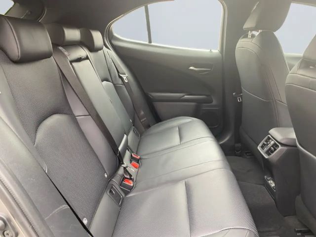 Lexus UX *Bi-LED*Leder*4x SHZ*el Sitze*Kamera*ACC*