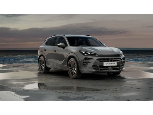 Cupra Terramar 2.0 TSI VZ
