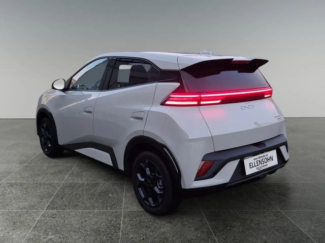 BYD Dolphin Surf Comfort