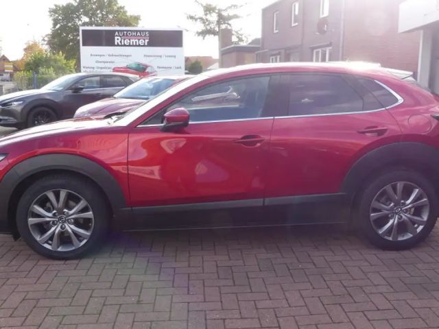 Mazda CX-30 2,0i Cosmo HeadUp Sitzhzg Lenkrdhzg Kamera Navi