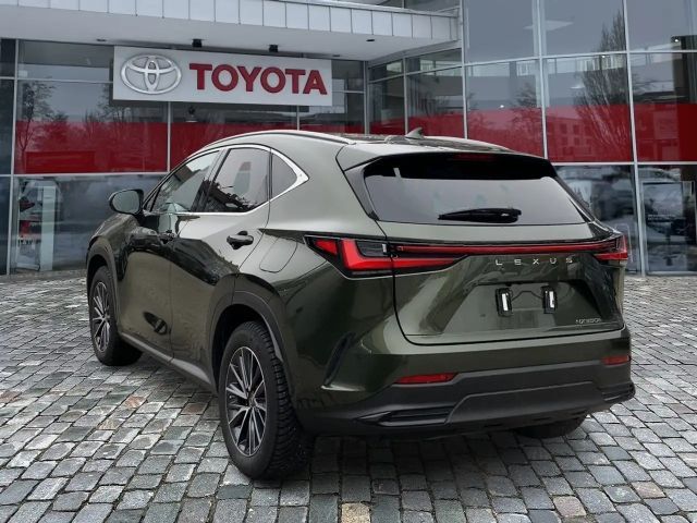 Lexus NX Executive Line