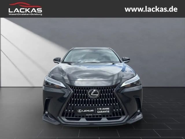 Lexus NX h BUSINESS*CONNECT-MY25* MEMORY*360KAM*GARANTIE