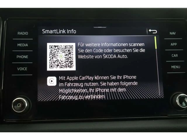 Skoda Kodiaq 2.0 TSI 4x4 Ambition Clever