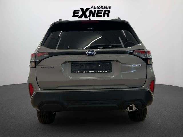 Subaru Forester 2.0ie - viel,viel Zubehör !!! AHK - Winterräder