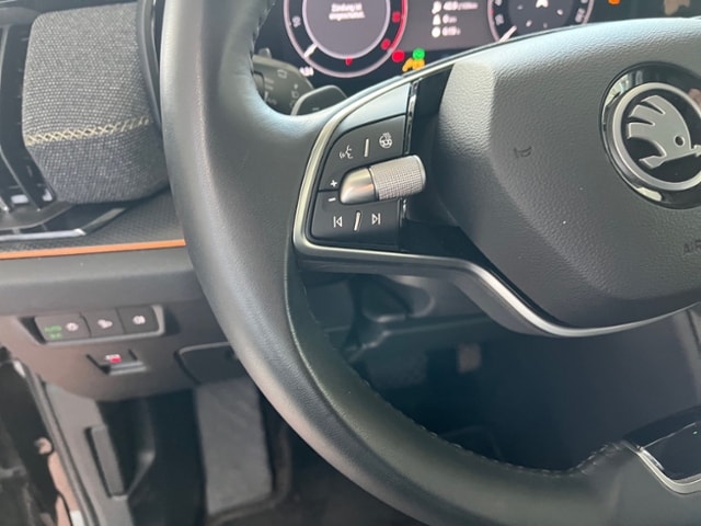 Skoda Kodiaq 2.0 TDI 4x4