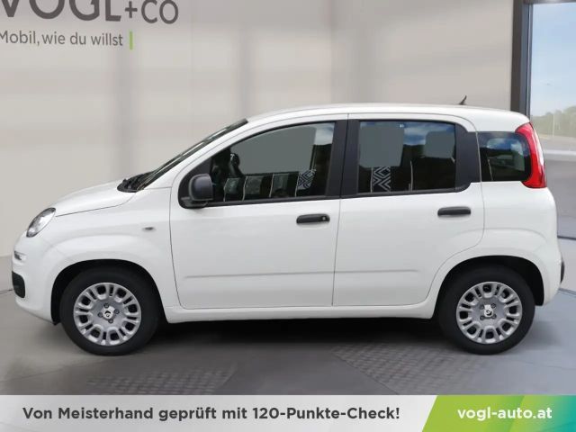 Fiat Panda Panda Mild Hybrid