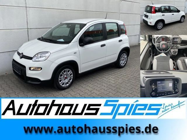 Fiat Panda 1.0 Mild Hybrid  Base Klima DAB
