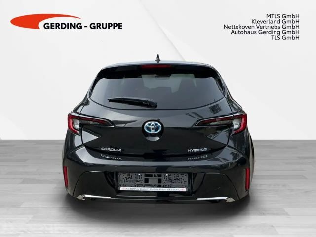 Toyota Corolla Hybride Team D