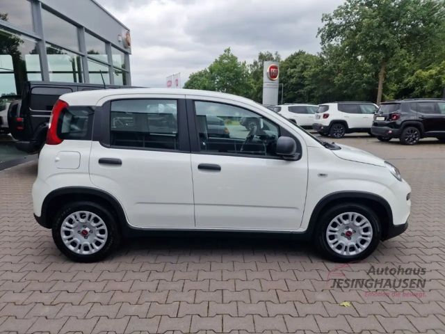 Fiat Panda MY24 Hybrid KomfortPaket Bluetooth Apple CarPlay A