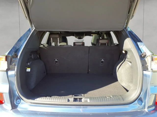 Ford Kuga EcoBoost ST Line X