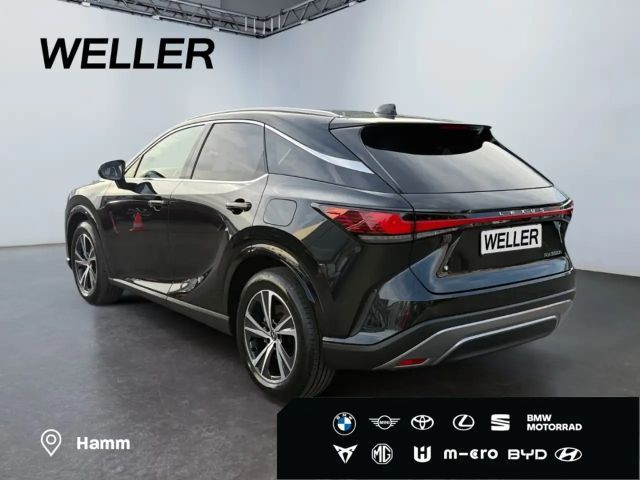 Lexus RX-Serie 4x4 Business Line