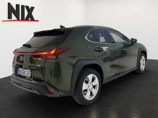 Lexus UX F Sport Sport