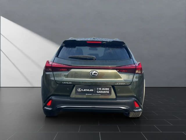 Lexus UX 250h Style Edition