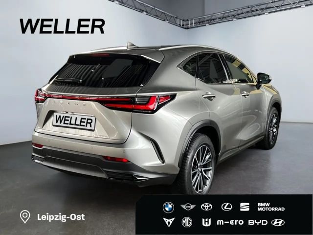 Lexus NX Executive Line