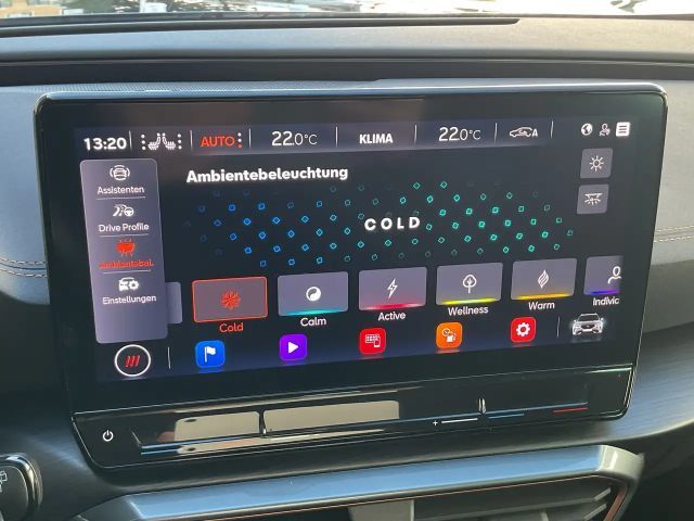 Cupra Formentor 2,0 TDI - AHK - Navi - 19" Alu - Induktion -