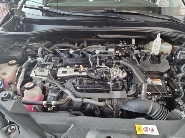 Toyota C-HR 5-deurs Plus