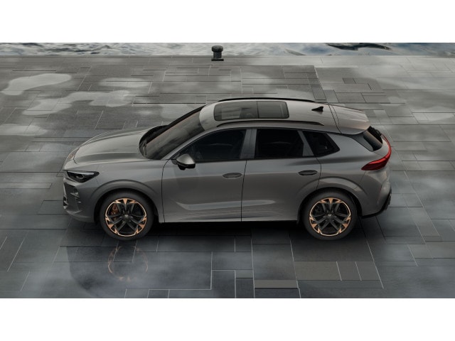 Cupra Terramar 2.0 TSI VZ