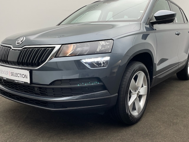 Skoda Karoq Karoq 1,5 l Kamera Navi AHK LED-Ablagen-Paket