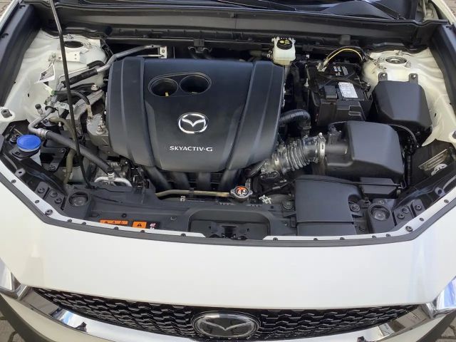 Mazda CX-30 4WD Premium Selection SkyActiv