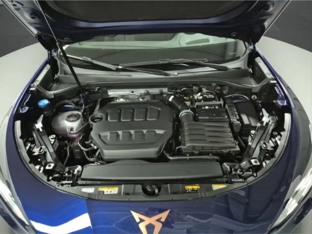 Cupra Terramar 2.0 TSI VZ