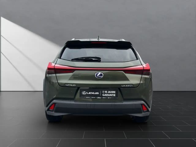 Lexus UX 250h